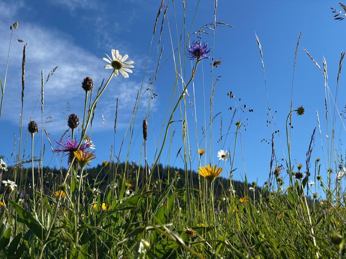 Alpenhof Kruen Hotel Екстериор снимка